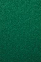 [Translate to ch_it:] Grün