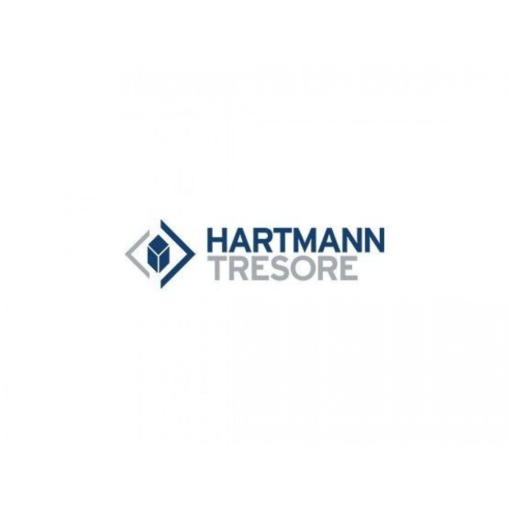 HS 420-01 Hartmann Digitalsafe
